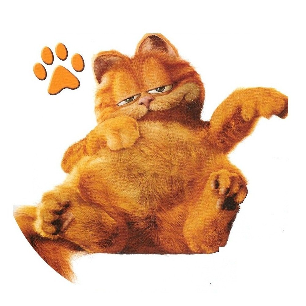 Gambaran Kucing Fitrisaleha